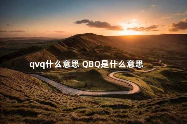 qvq什么意思 QBQ是什么意思